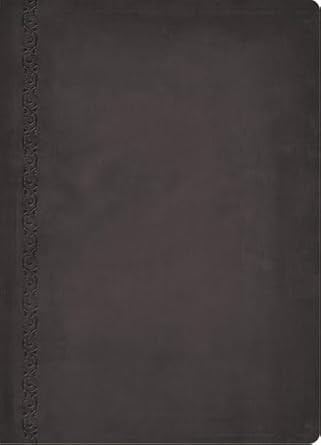 The MacArthur Study Bible