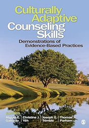 Culturally Adaptive Counseling Skills