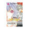 Neon Genesis Evangelion: Angelic Days Vol. 2