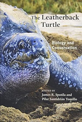 The Leatherback Turtle