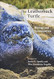The Leatherback Turtle