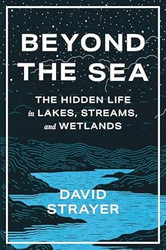 Beyond the Sea