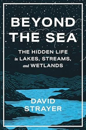 Beyond the Sea