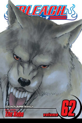 Bleach Vol. 62 (62)