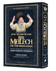 Reb Meilech on the Haggadah