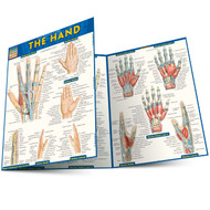 The Hand QuickStudy Laminated Reference Guide