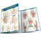 The Hand QuickStudy Laminated Reference Guide