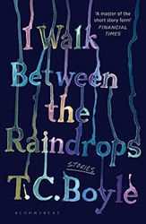 I Walk Between the Raindrops