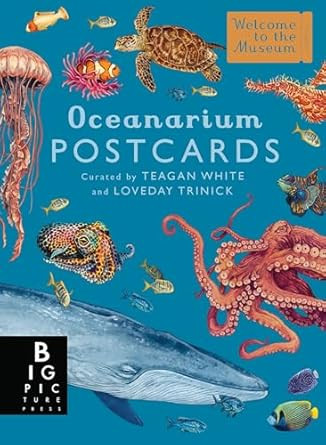 Oceanarium Postcard Box Set