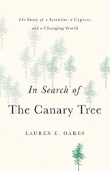 In Search of the Canary Tree