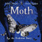 Moth: An Evolution Story