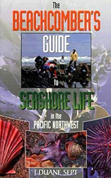 The Beachcomber's Guide to Seashore Life in the Pacific