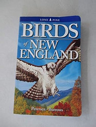 Birds of New England