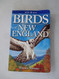 Birds of New England