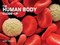 The Human Body Close-Up