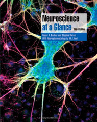 Neuroscience At A Glance