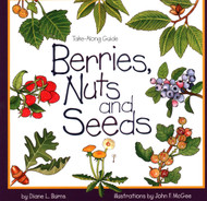 Berries Nuts And Seeds