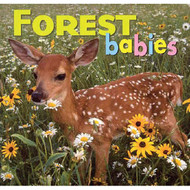 Forest Babies (Animal Babies)