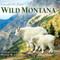 Donald M. Jones' Wild Montana