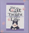 What My Cat Has Taught Me About Life