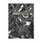 OP Wraith The Oblivion 2nd Edition