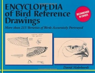 Encyclopedia of Bird Reference Drawings