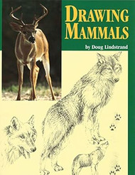 Drawing Mammals