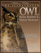 The Illustrated Owl