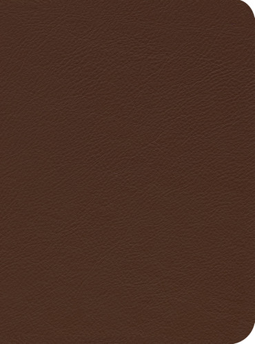ESV Reformation Study Bible Brown Premium Leather