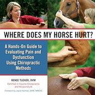 Where Does My Horse Hurt?