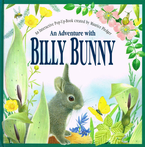 An Adventure With Billy Bunny