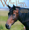 What Horses Teach Us