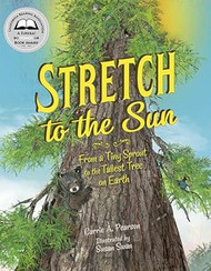 Stretch to the Sun