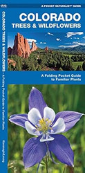 Colorado Trees & Wildflowers