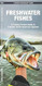 Freshwater Fishes
