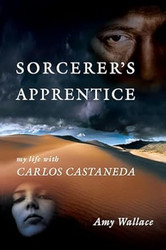 Sorcerer's Apprentice