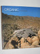 Organic Architecture