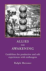 Allies for Awakening Guidelines for Productive And Safe