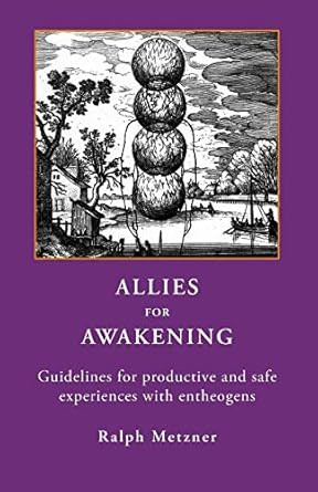 Allies for Awakening Guidelines for Productive And Safe