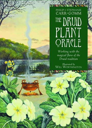 The Druid Plant Oracle The Druid Plant Oracle