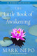 The Little Book of Awakening