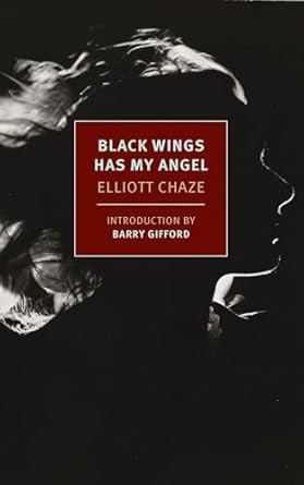 Black Wings Has My Angel