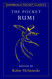The Pocket Rumi
