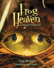 Frog Heaven