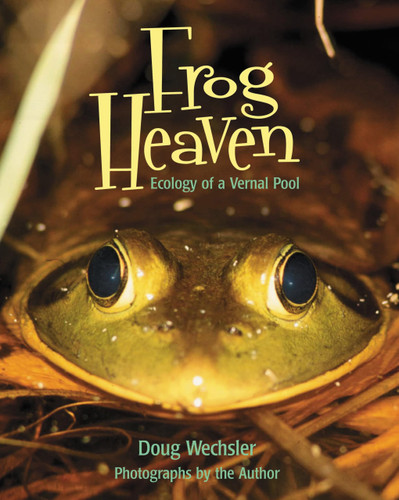 Frog Heaven