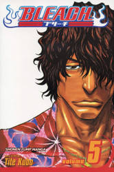 Bleach Vol. 5