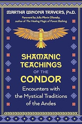 Shamanic Teachings of the Condor