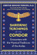 Shamanic Teachings of the Condor