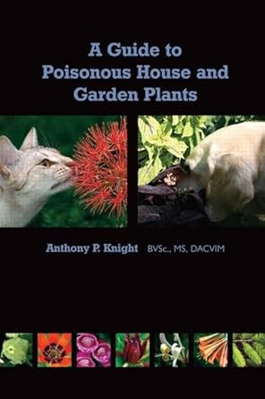 A Guide to Poisonous House and Garden Plants