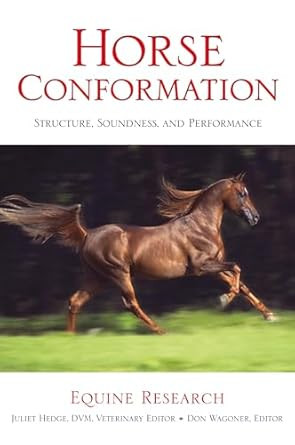 Horse Conformation